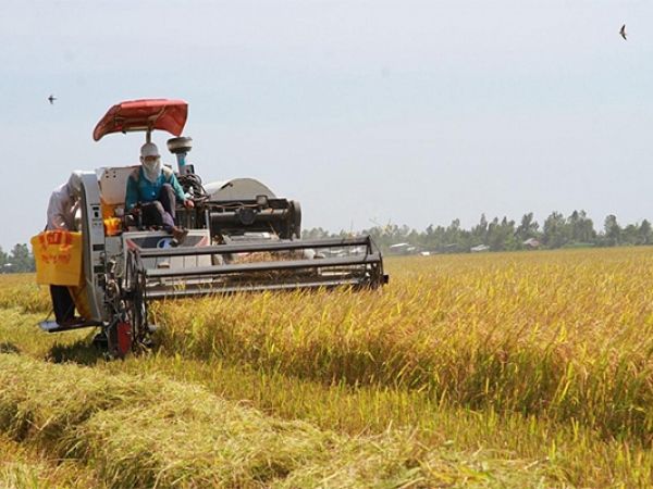 Phát triển công nghiệp cơ khí: 2 mấu chốt cần phải giải quyết